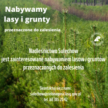 Nabywamy lasy i grunty przeznaczone do zalesienia