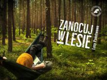 📢 Zapraszamy do udziału w ankiecie dotyczącej Programu „Zanocuj w lesie” 🌲